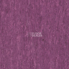 Линолеум Tarkett iq Optima Purple 0255 фото 1 | FLOORDEALER